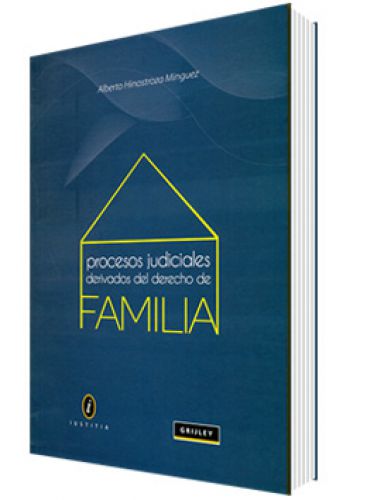 PROCESOS JUDICIALES DERIVADOS DEL DERECHO DE FAMILIA PROCESOS JUDICIALES DERIVADOS DEL DERECHO DE FAMILIA